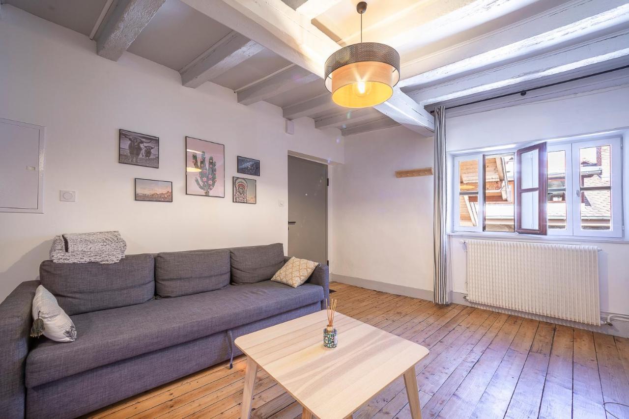 Bel Appartement, 2 Chambres, Annecy Coeur De Ville Buitenkant foto